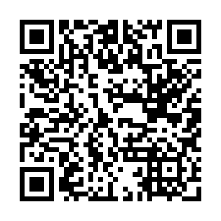 QR code for plate OBM 389
