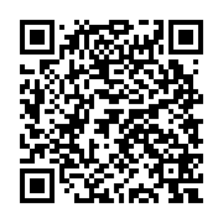 QR code for plate OBT 368
