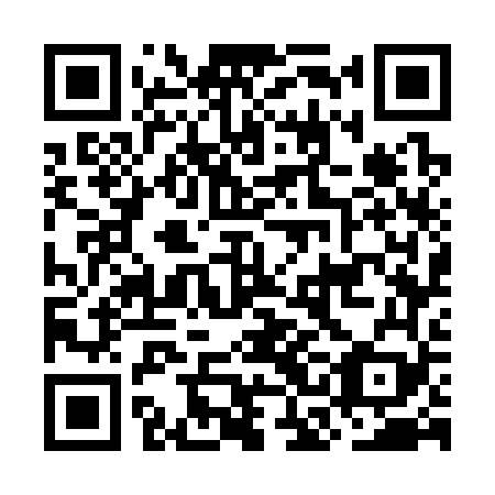 QR code for plate OCG 369