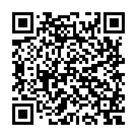 QR code for plate OCK 980
