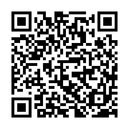 QR code for plate OCX 313