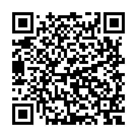 QR code for ODO991