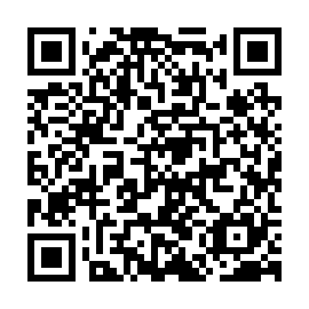 QR code for plate OEI 225