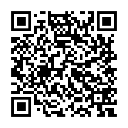 QR code for plate OEO 958
