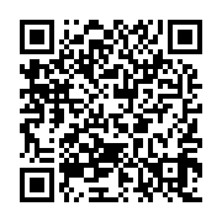 QR code for plate OF 4919