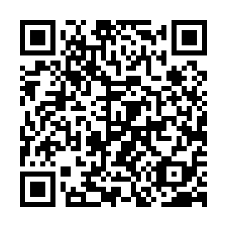 QR code for OG 4119