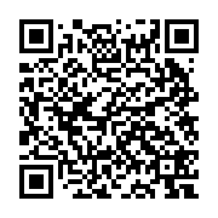 QR code for OG2228