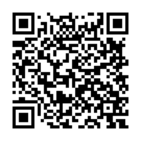 QR code for plate OG 2863