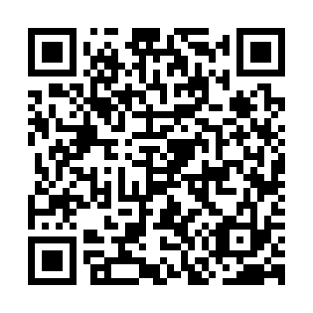 QR code for OG6333