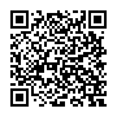 QR code for plate OGQ 163