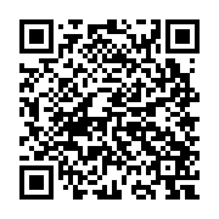 QR code for plate OGU 343