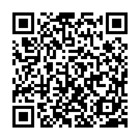 QR code for OGZ 161