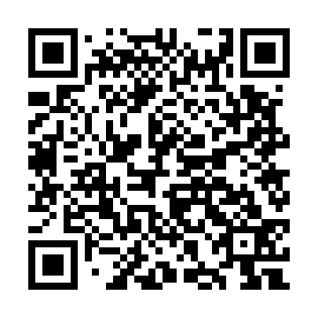 QR code for plate OHG 533