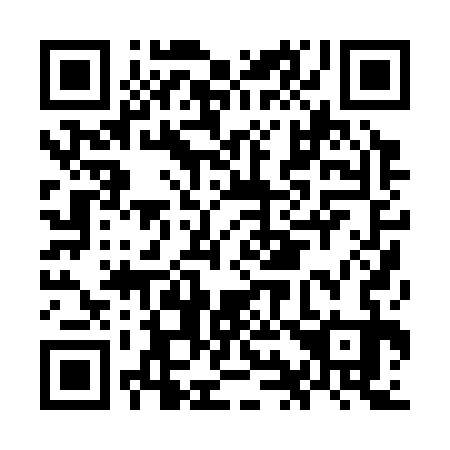 QR code for OI 0333