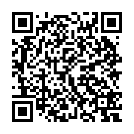 QR code for OI 9228