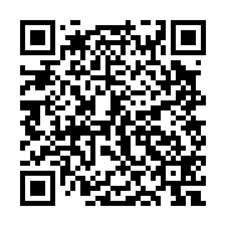 QR code for OIG 019