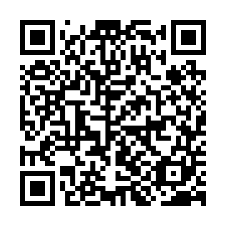 QR code for OIG 241