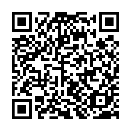 QR code for plate OIG 581