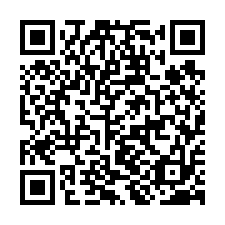 QR code for plate OIG 613