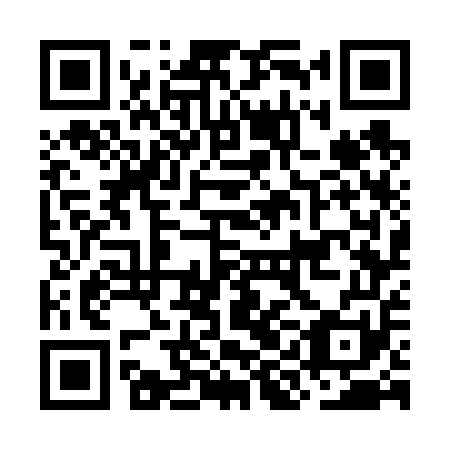 QR code for plate OIG 651