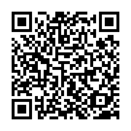 QR code for plate OIG 789