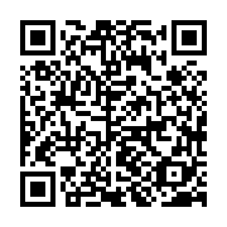 QR code for OIH 868