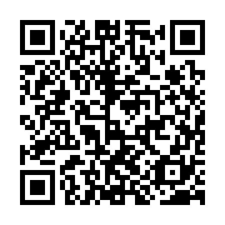 QR code for plate OIQ 370