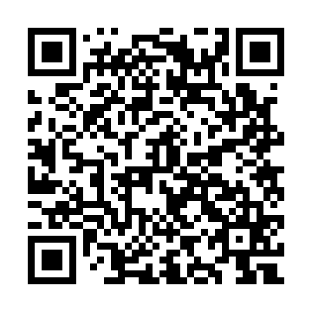 QR code for plate OIR 165