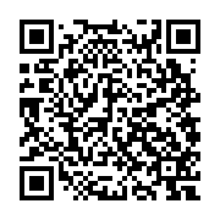 QR code for OK 6313