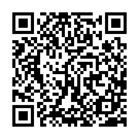 QR code for plate OK 0303