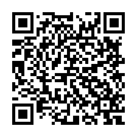 QR code for plate OK 3817