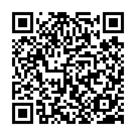 QR code for plate OK 6675