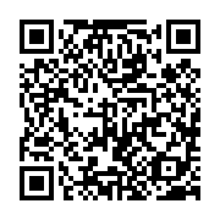 QR code for plate OK 8499