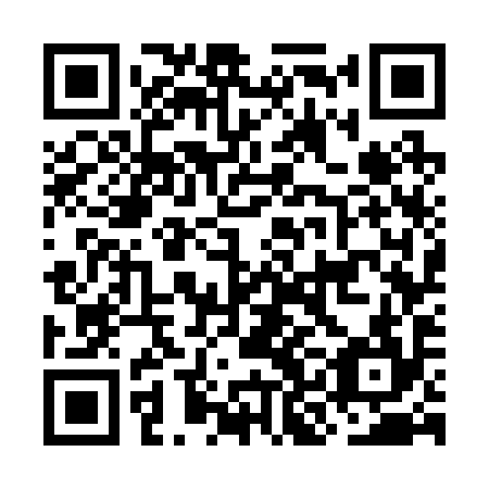 QR code for OKG294