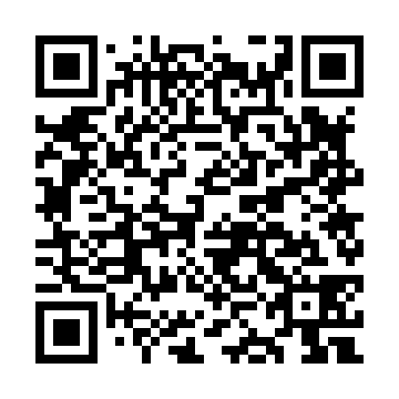 QR code for plate OKG 838