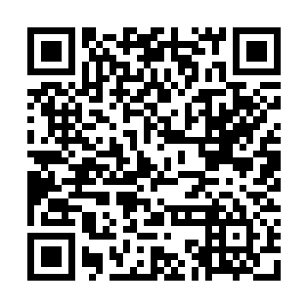 QR code for OKI 335