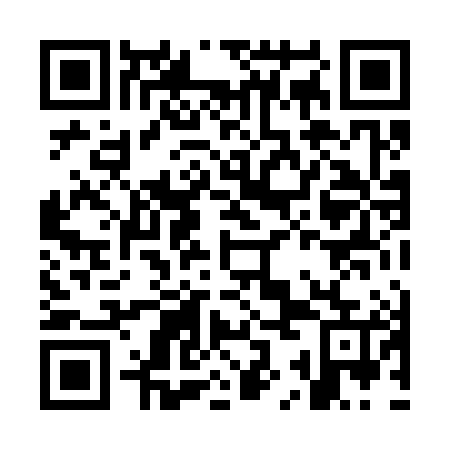 QR code for plate OKL 385