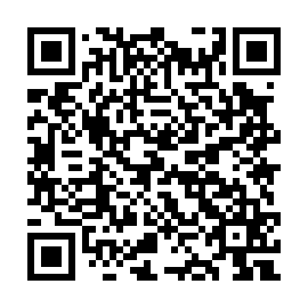 QR code for plate OKM 065