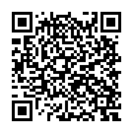 QR code for plate OKM 543