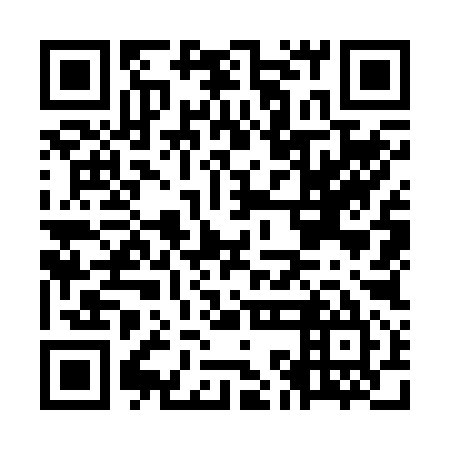 QR code for OKO 295