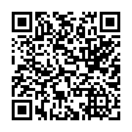 QR code for OKT 295