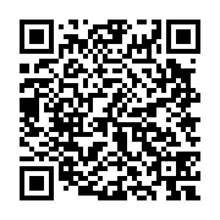 QR code for plate OLE 038