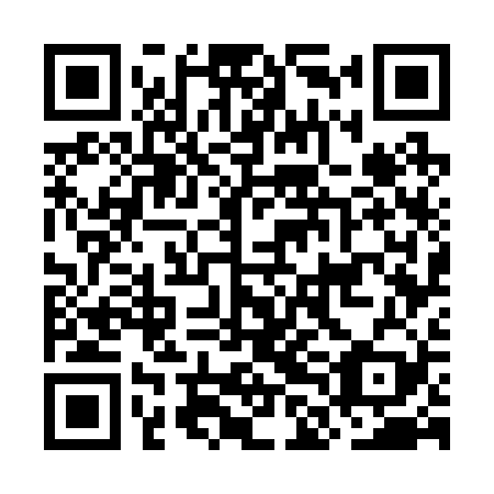 QR code for plate OLG 229