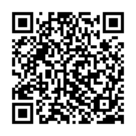 QR code for plate OLG 973