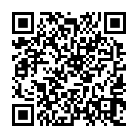 QR code for OLO 313