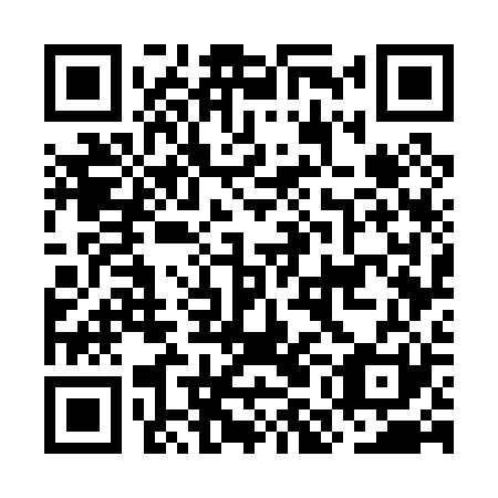 QR code for plate OMG 021