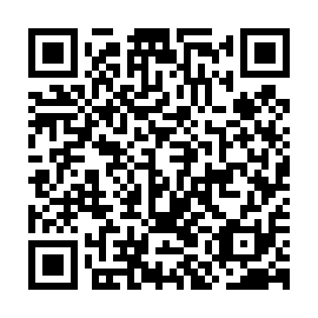 QR code for OMG411
