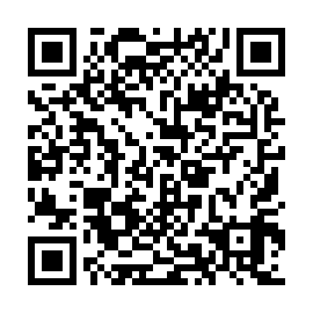 QR code for plate OMI 919