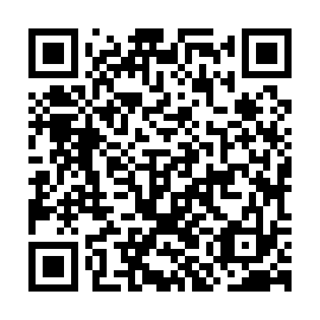 QR code for plate OMJ 133