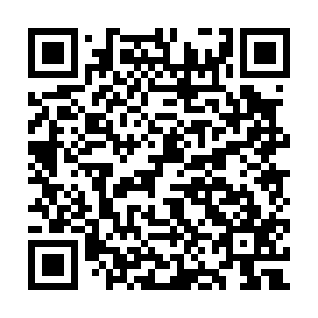 QR code for plate ON 0017